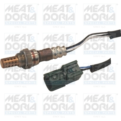 Oxygen Sensor